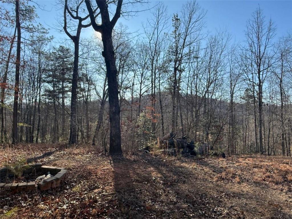 426 Rockhouse Crossing, Demorest, GA 30535