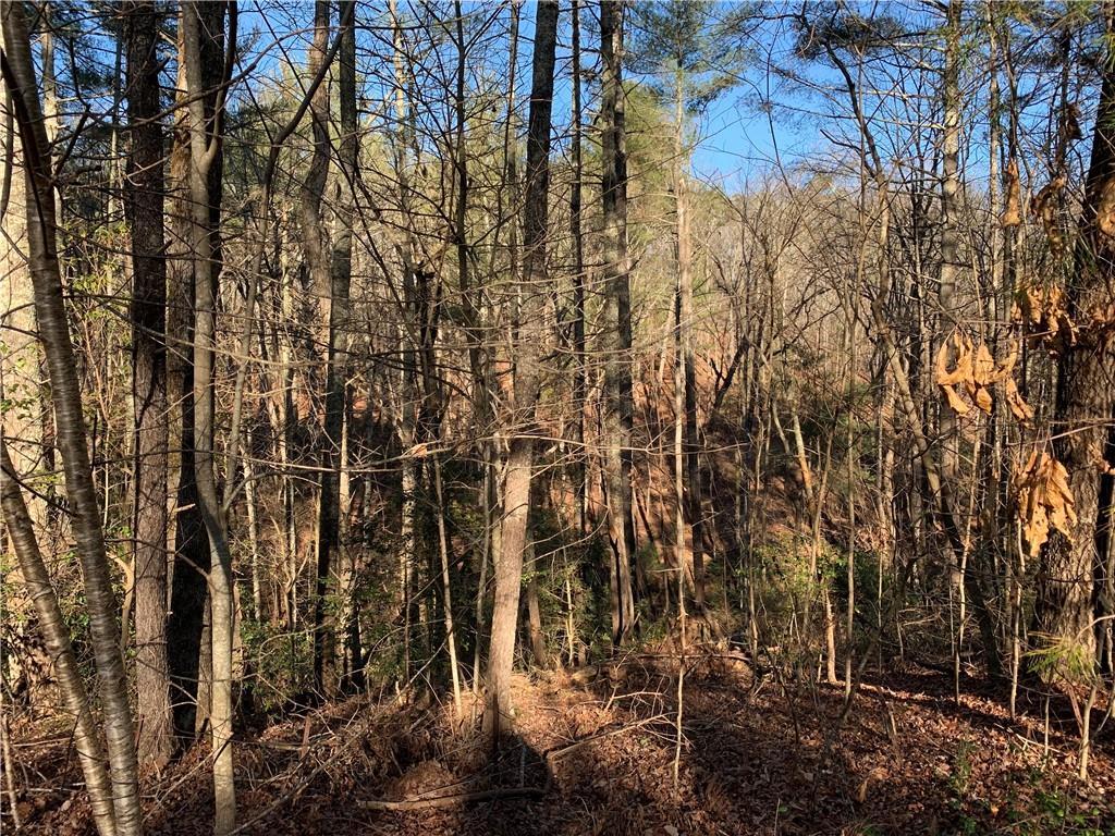 240 N Sanderlin Mtn Dr., Jasper, GA 30143