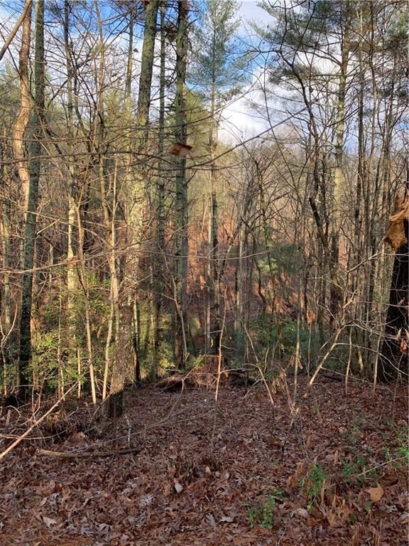 9317 Blackwell Creek Way, Jasper, GA 30143