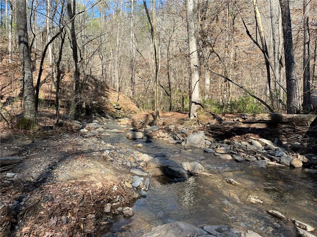 1769 Longbranch Dr., Ranger, GA 30734