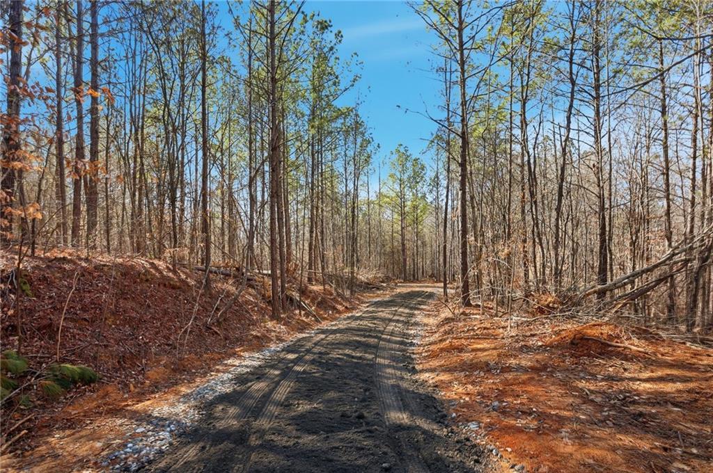 6.651 Acres On Orlando Path, Dallas, GA 30157