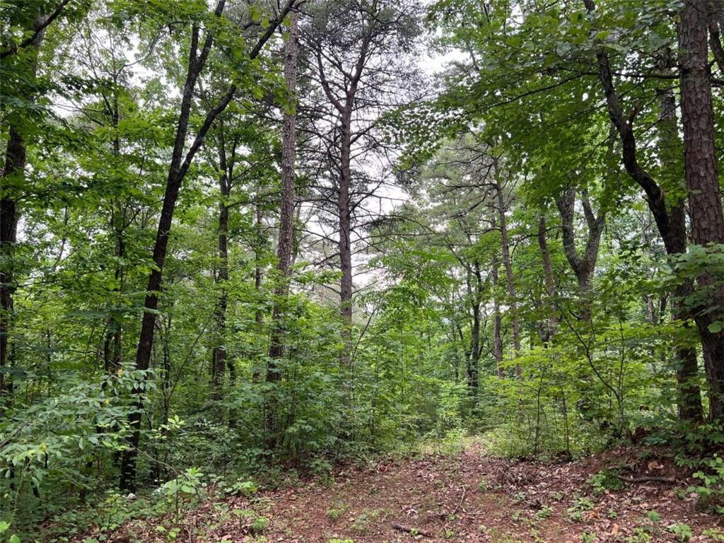 198 Log Round Mountain Tr., Ellijay, GA 30540