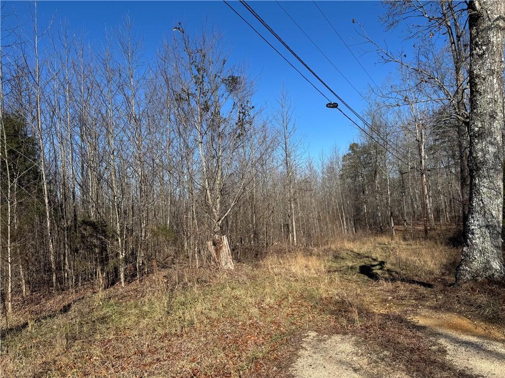 33 Riverhaven Ln., Menlo, GA 30731