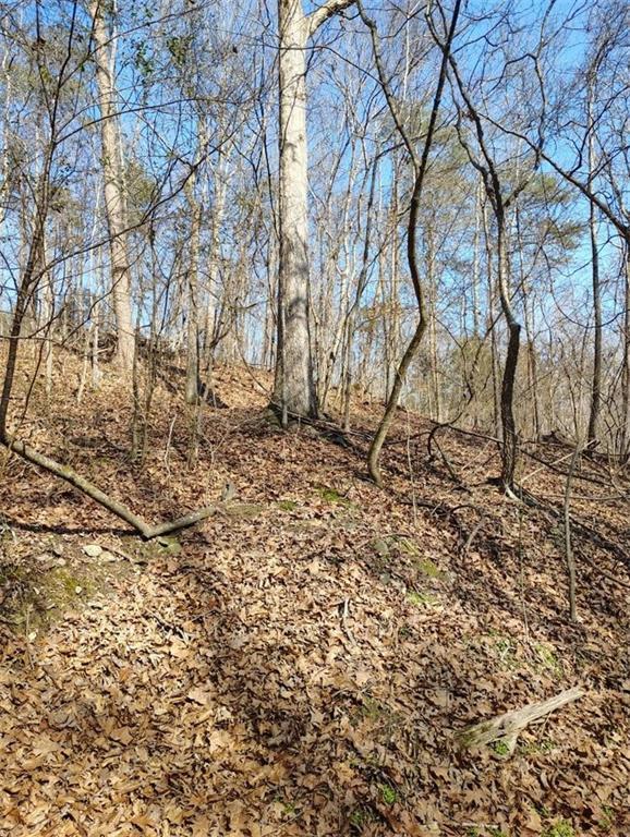 0000 Braswell Rd., Rockmart, GA 30153