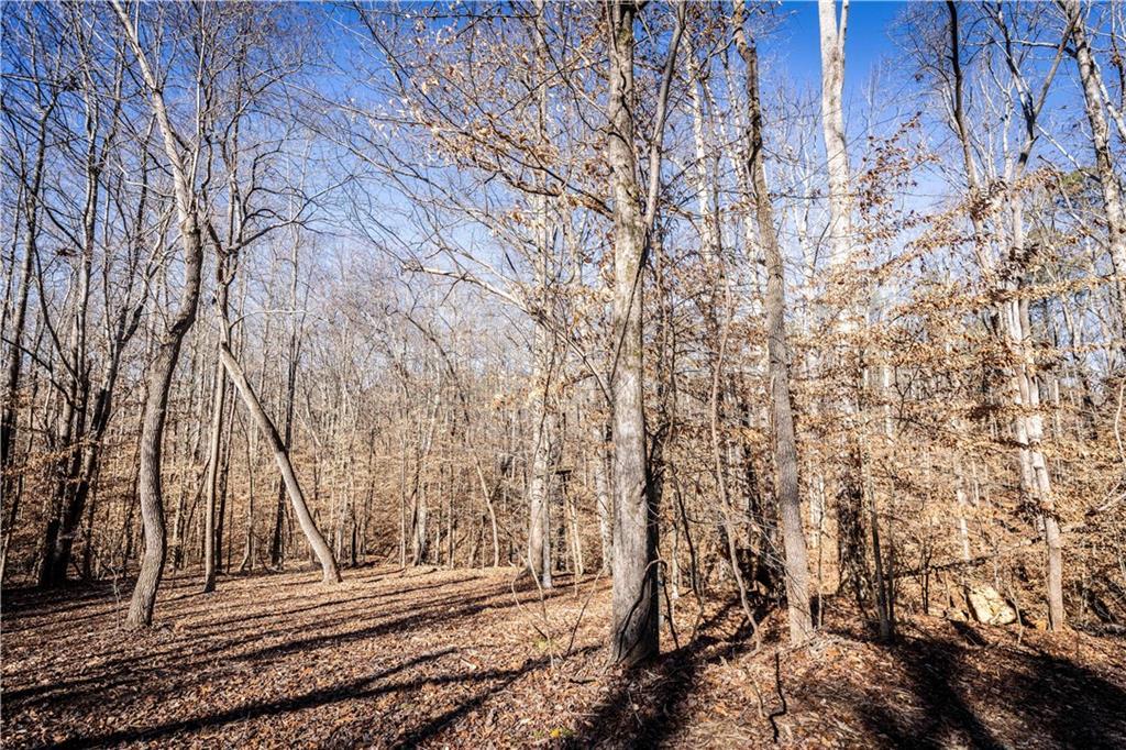 391 Marvin Land Ln., Canton, GA 30115