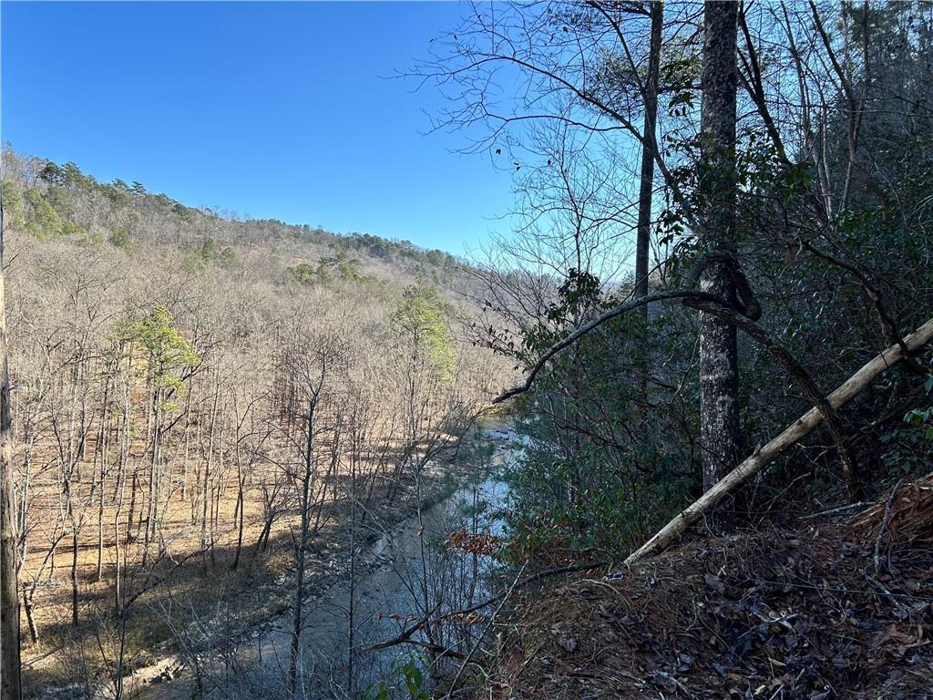 436 Meadow Ln., Talking Rock, GA 30175