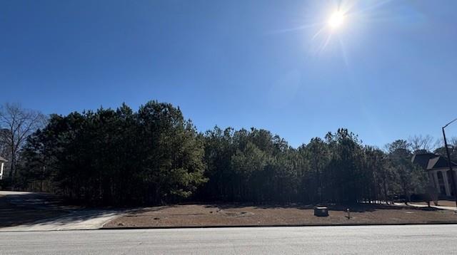 4357 Blue Ridge Dr., Douglasville, GA 30135