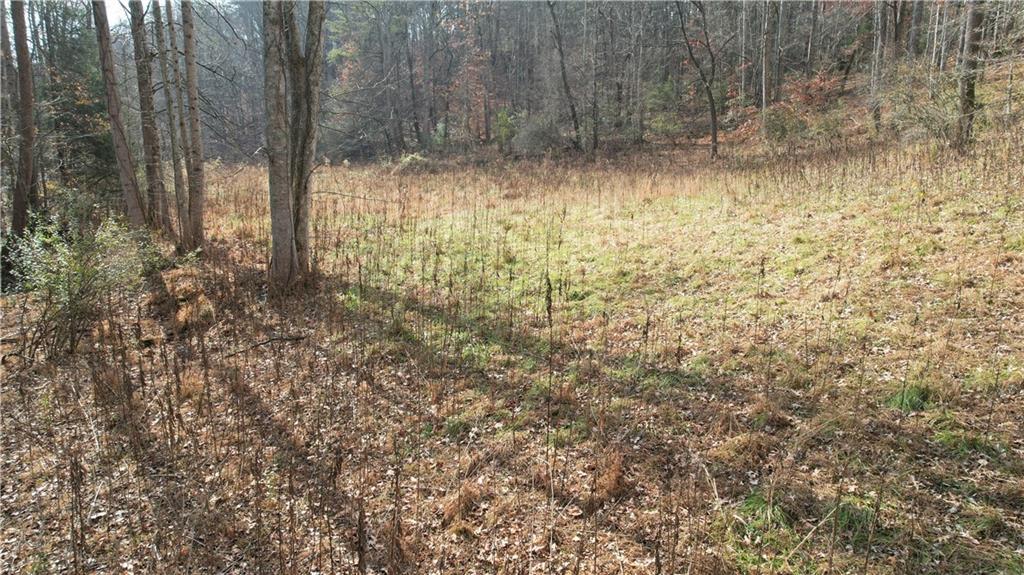 0000 Blackburn Tract 3a Rd., Dawsonville, GA 30534