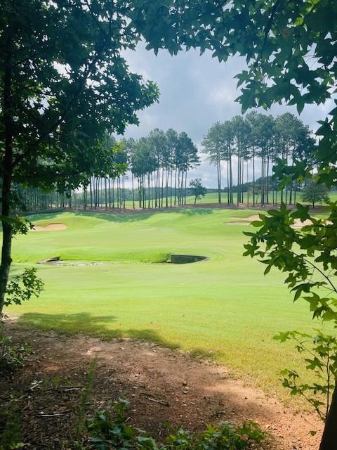 120 Hawks Ct., Ball Ground, GA 30107