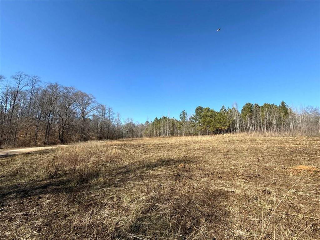 Ten Oaks Rd., Buchanan, GA 30113