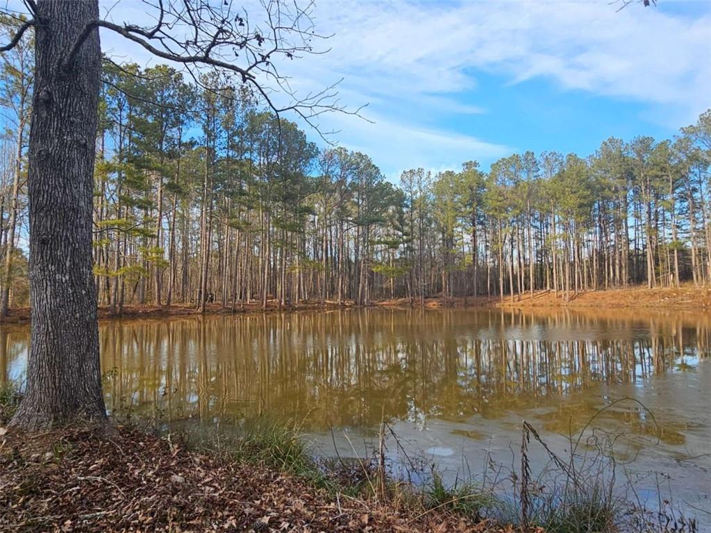 2020 Bailey Creek Road, Covington, GA 30016