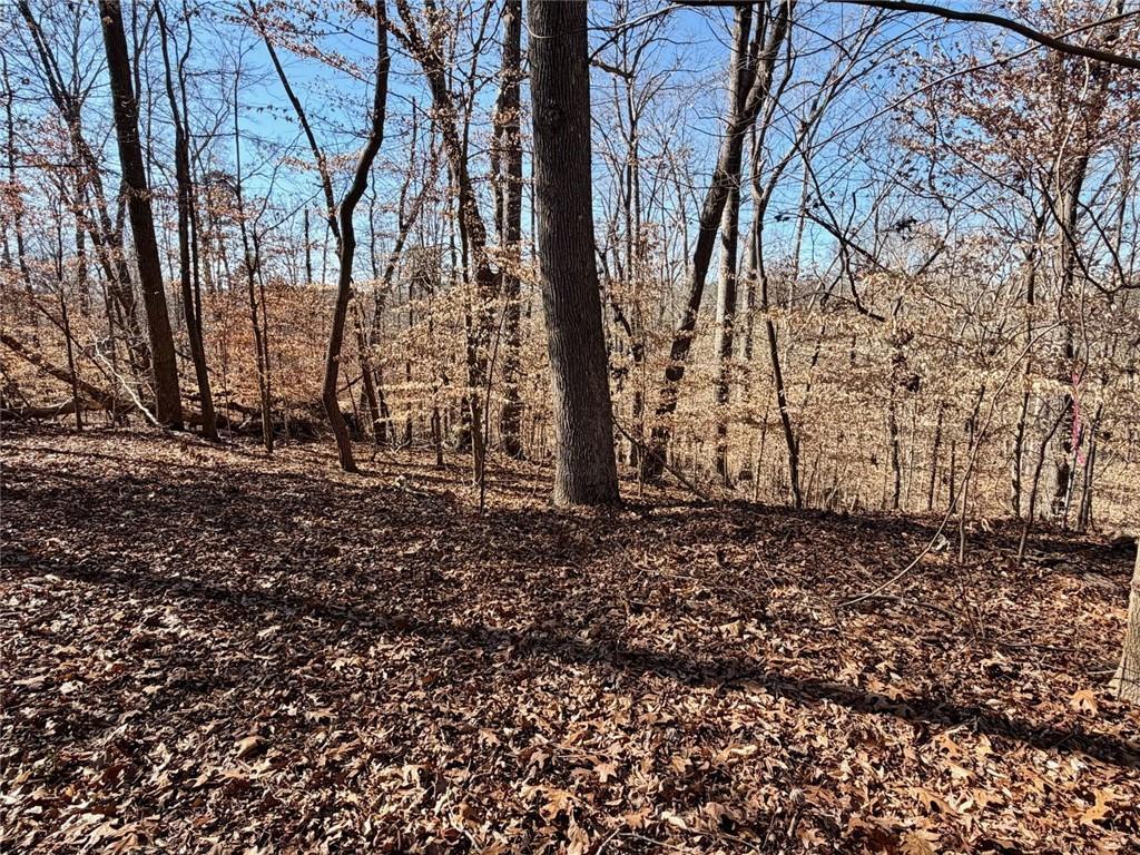 Arrowhead Ct., Lavonia, GA 30553