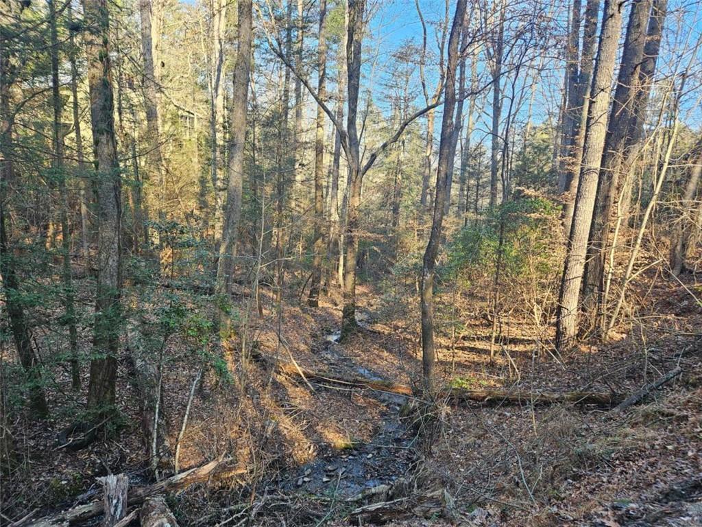 LT 162 Nexus Dr., Ellijay, GA 30540