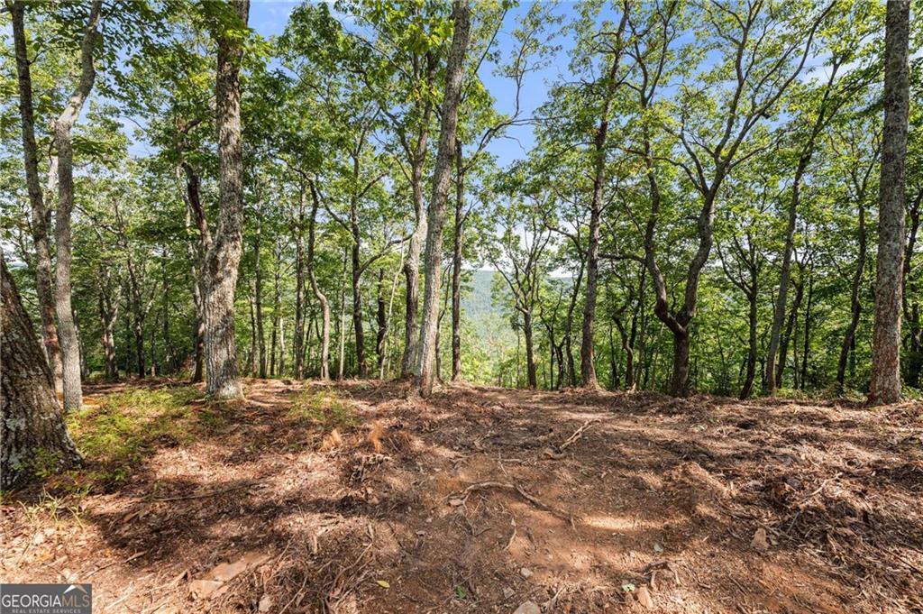 347 Highlands Dr., Clarkesville, GA 30523