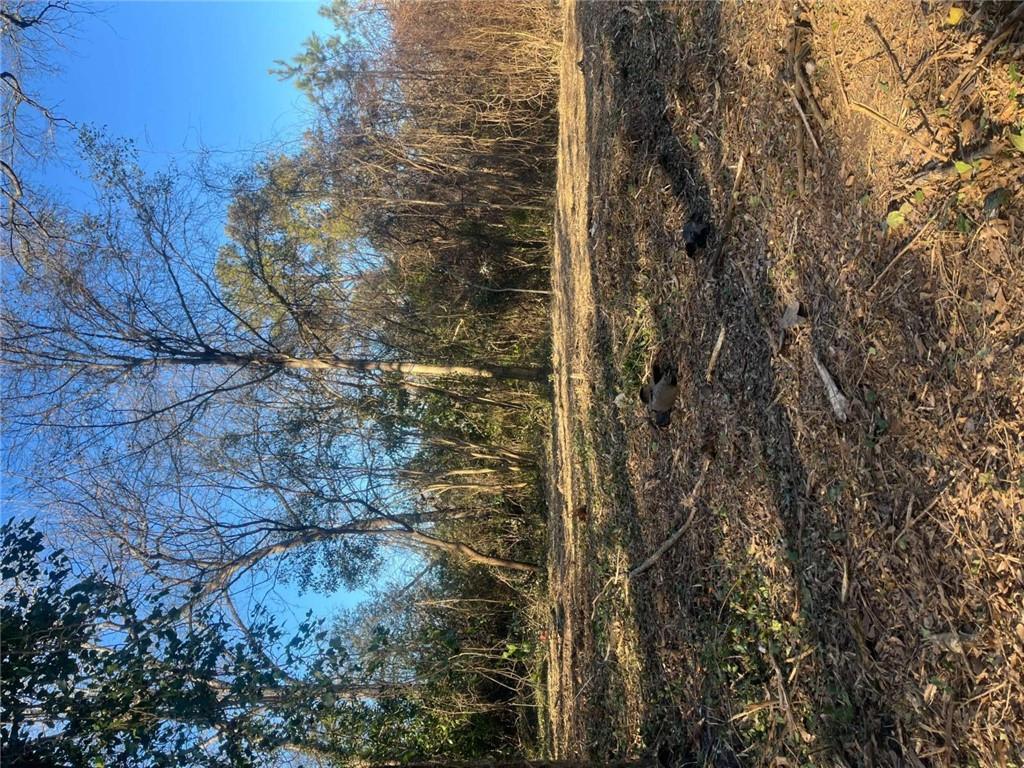 Old Griffin Rd, Mcdonough, GA 30253