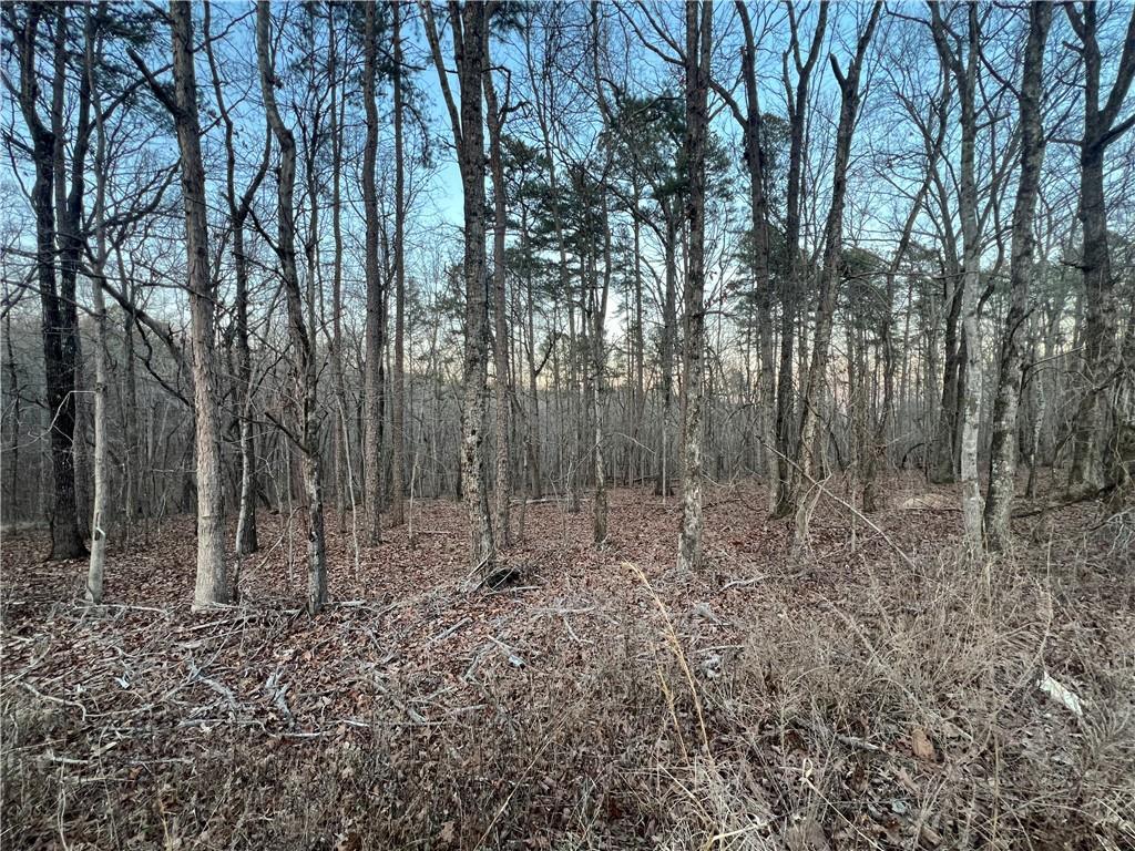 Ireland Dr., Rome, GA 30161