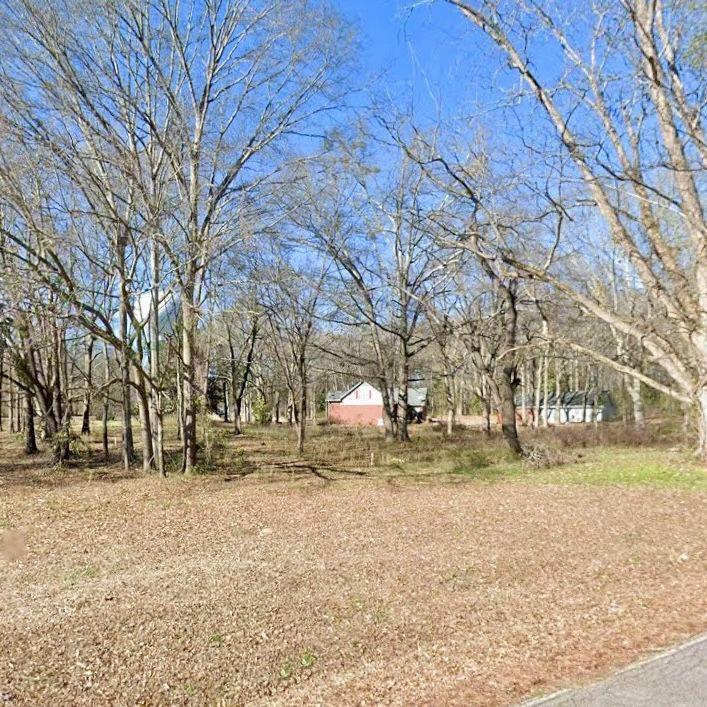 124 Roberts Rd, Locust Grove, GA 30248