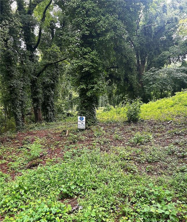 00 Webb Ave., Atlanta, GA 30314