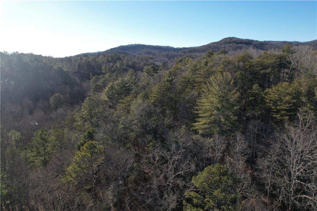 Old Miller Rock Road, Ellijay, GA 30540