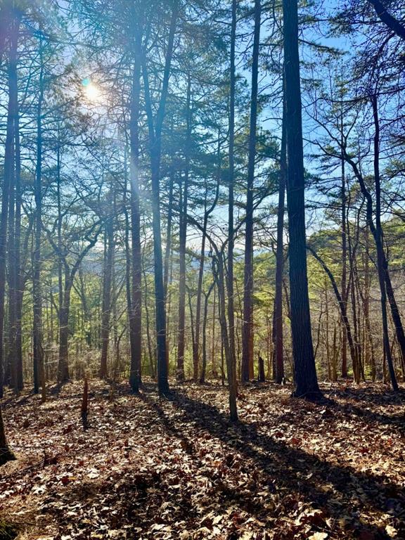 335 Packet Ct., Ranger, GA 30734