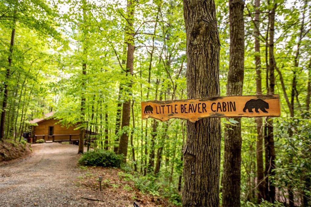 137 Little Beaver Drive, Cherry Log, GA 30522