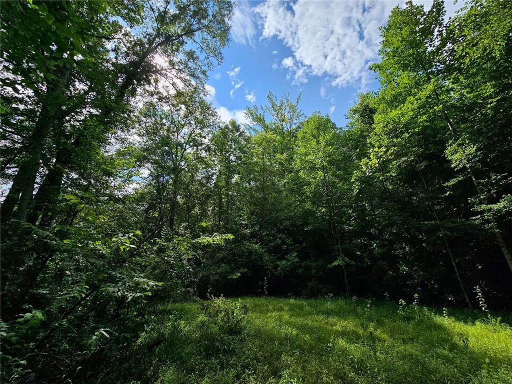 Hutcheson Rd., Temple, GA 30179