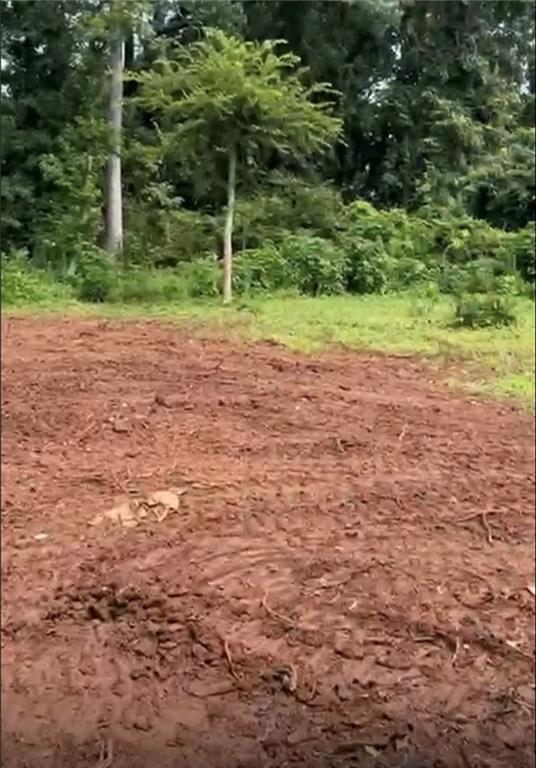 2047 Moody Dr., Atlanta, GA 30315