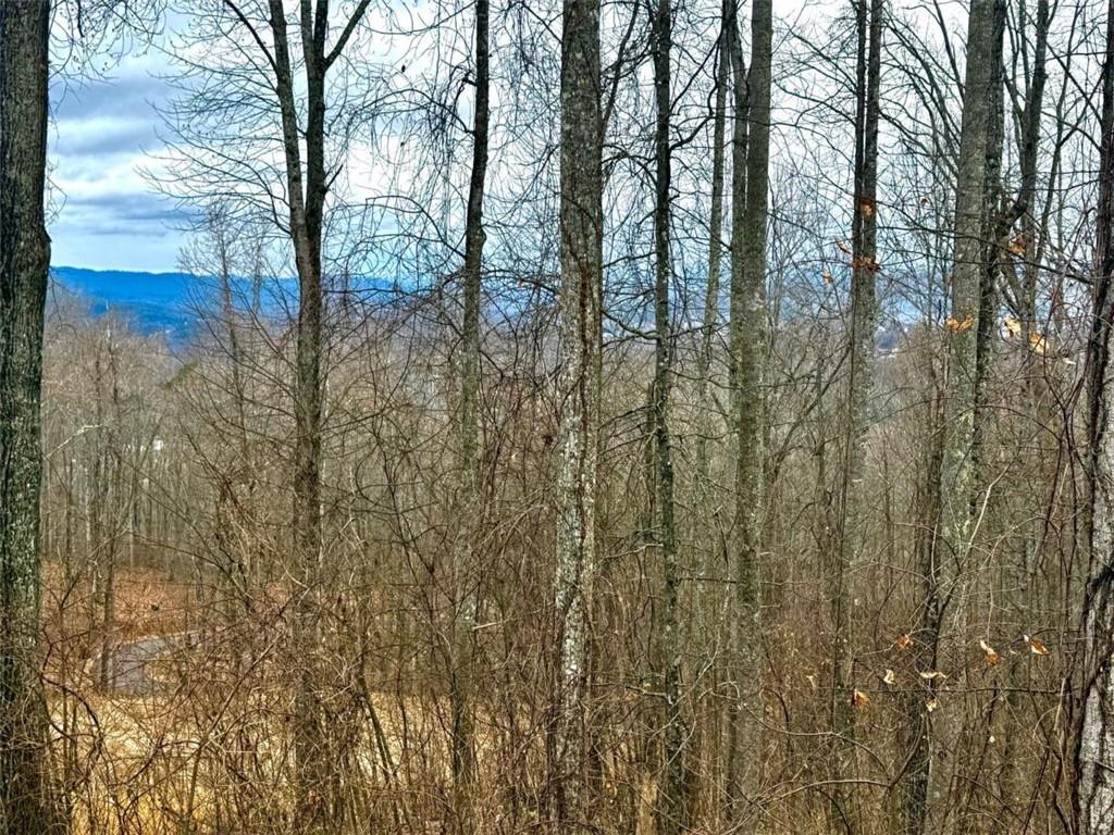 LOT 7 Rocky Knob Dr., Young Harris, GA 30582