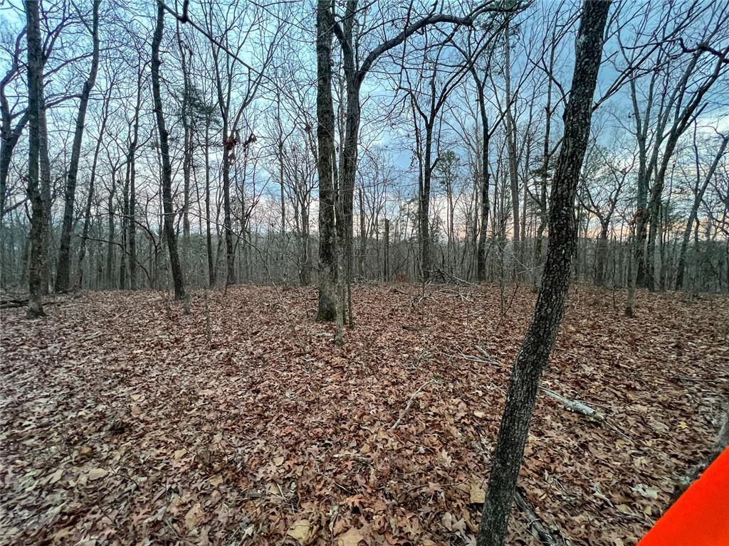 000 Kelly Bridge Rd., Dawsonville, GA 30534