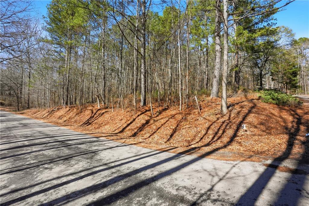 Pickett Bridge Rd., Covington, GA 30016