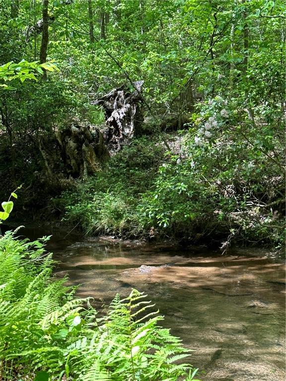 0000 Bridle Ridge Ln., Canton, GA 30114