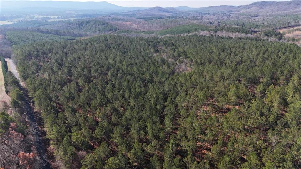 32 ACR Tract 14, Lyerly, GA 30730