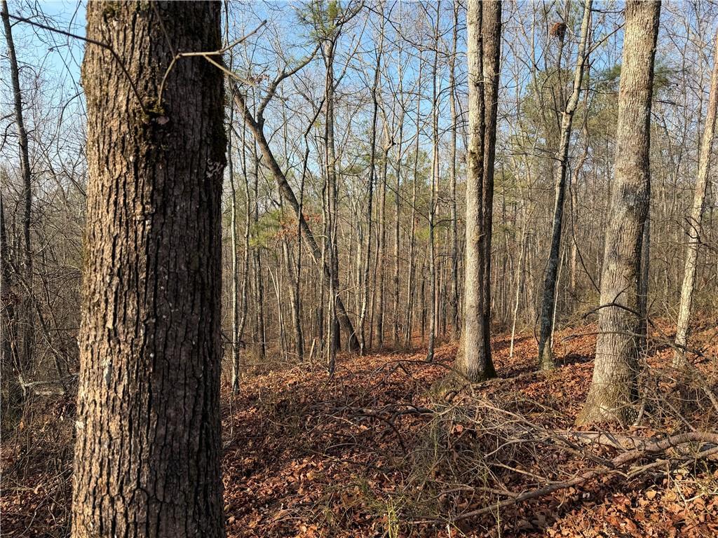 Lower Sweetwater Rd., Canton, GA 30114