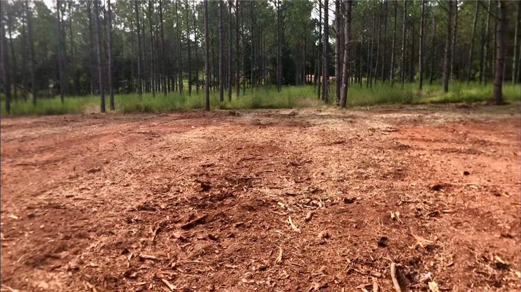 Sanford Rd., Nicholson, GA 30565