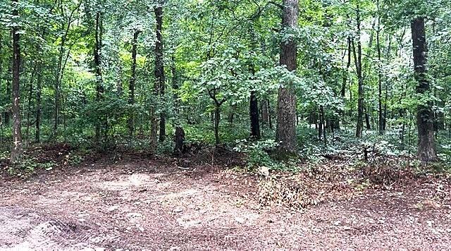 3871 Martin Dr., Ellenwood, GA 30294