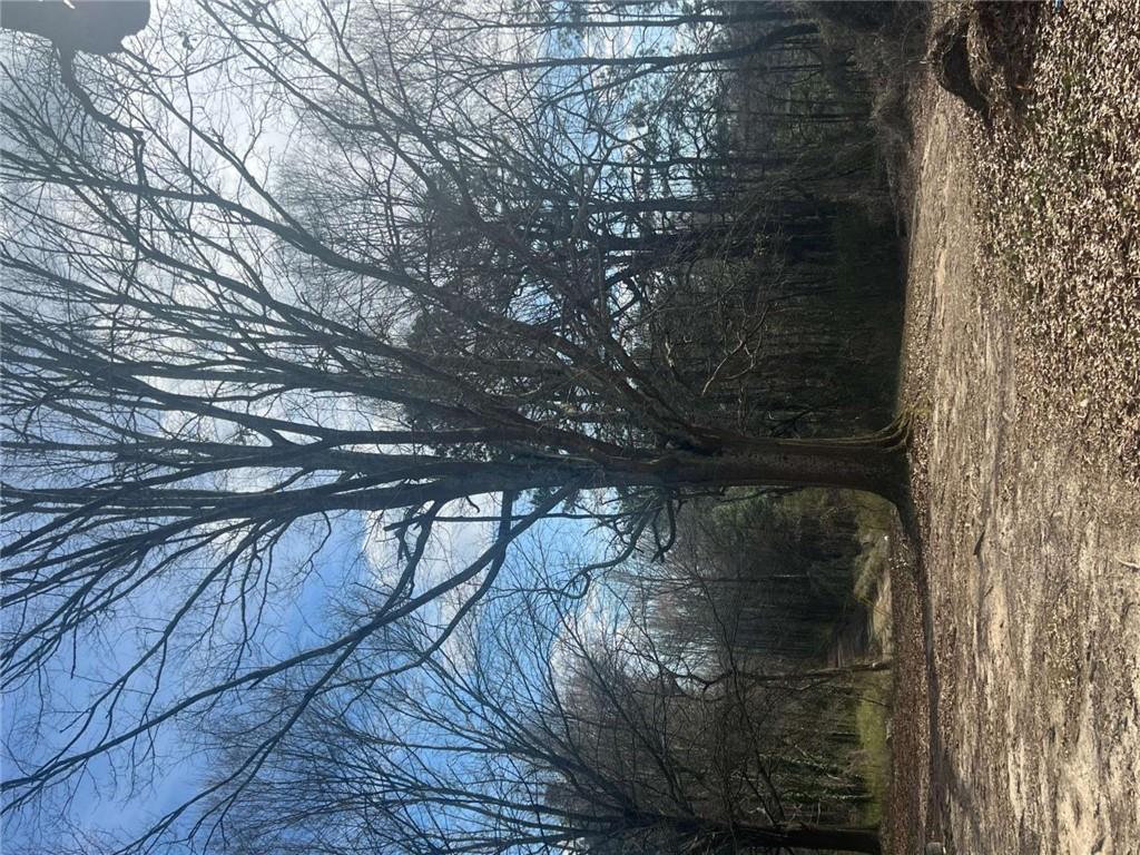 98 Pine Shadows Dr., Dallas, GA 30157