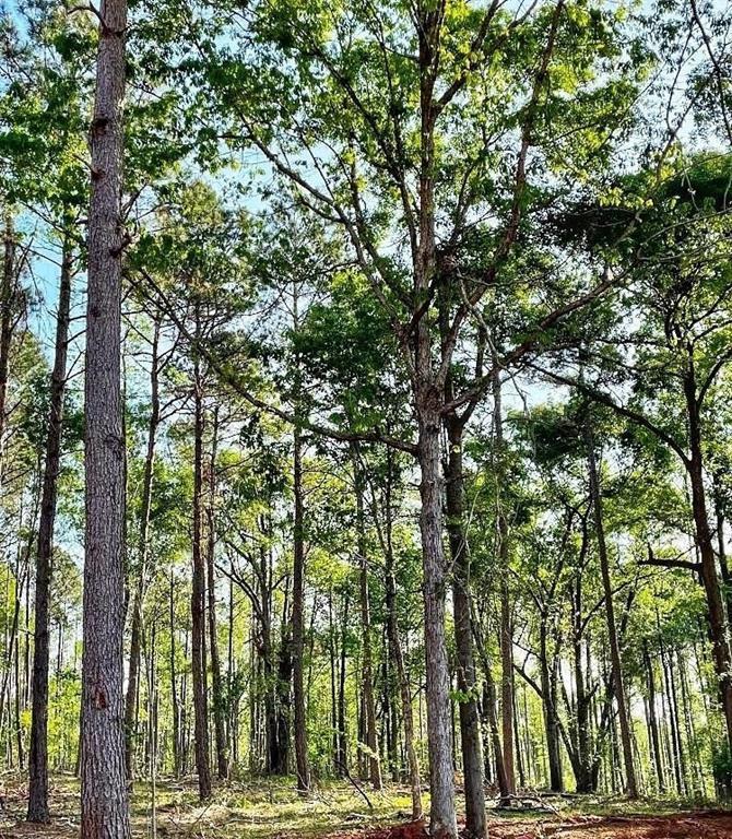 1660 Watkins Farm Rd., Nicholson, GA 30565