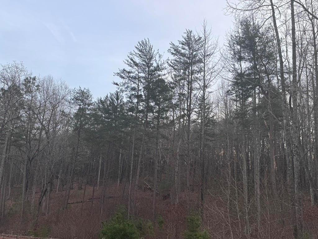 202 Emma Ter., Dawsonville, GA 30534