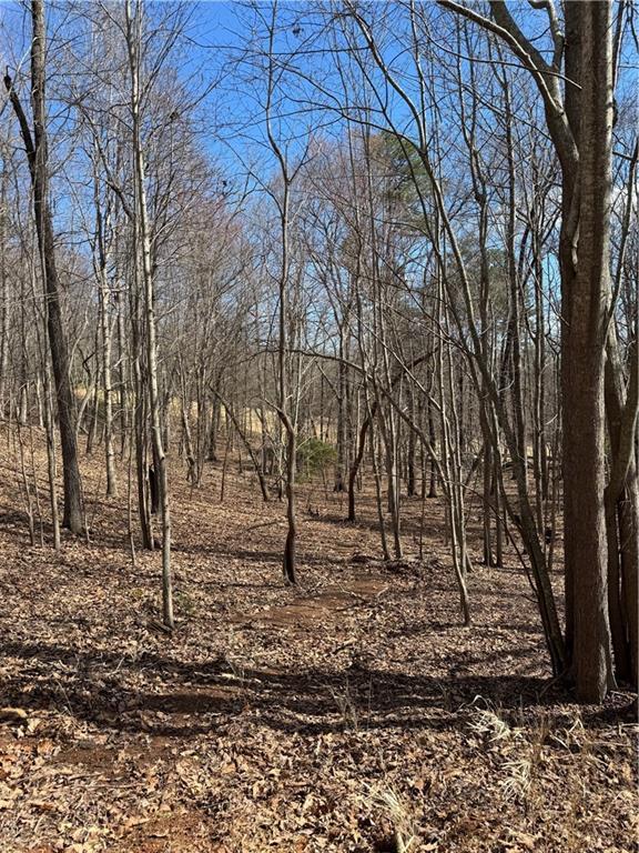 2526 Turnbury Ln., Big Canoe, GA 30143