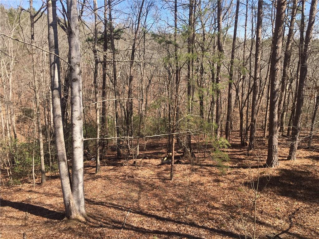Lot 10 Olivia Ln., Ball Ground, GA 30107
