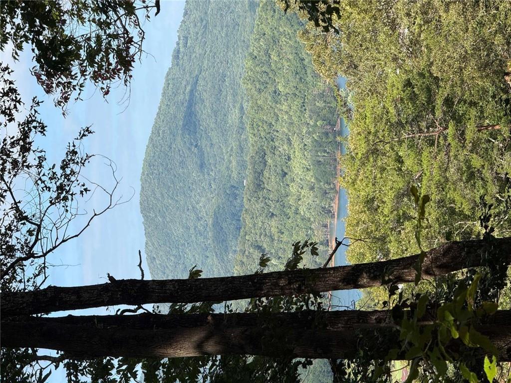 LOT 3 Whiskey Mountain Estates, Hiawassee, GA 30546