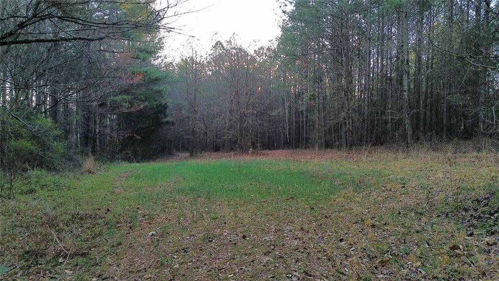 8165 Highway 81, Bethlehem, GA 30620