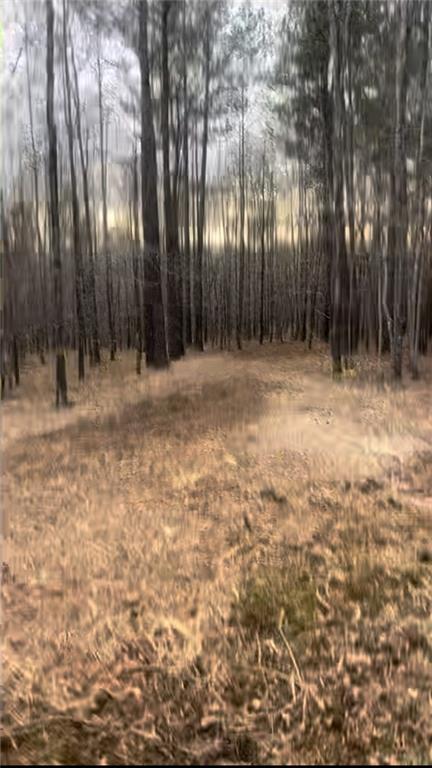 166 Lake Crest Dr., Sparta, GA 31087