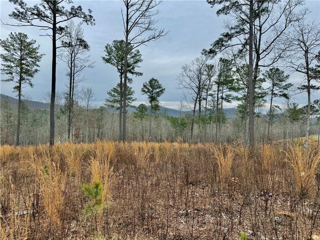 347 Timbercreek Tr., Talking Rock, GA 30175