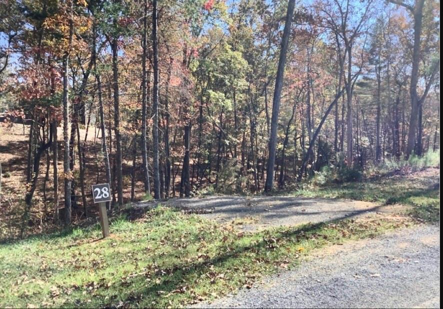 Lake Top Ln Ln., Ellijay, GA 30536