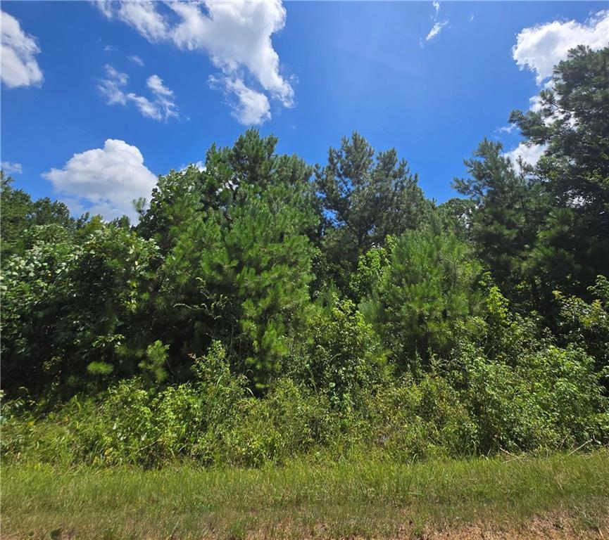 Beechwood Rd., Elberton, GA 30635