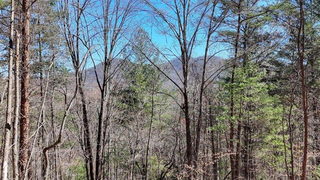 LOT 10 Butternut S/d / Firefly Ridge, Blairsville, GA 30512