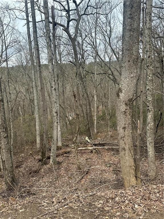 Mulberry Ct., Jasper, GA 30143