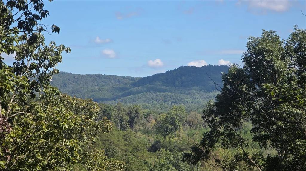 611 Pack Rd., Ranger, GA 30734