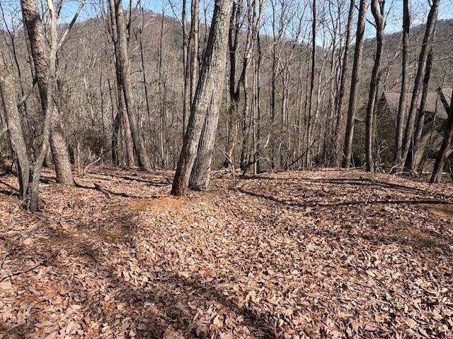 1150 Swallow Point, Big Canoe, GA 30143